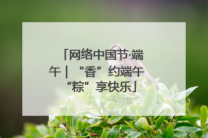 网络中国节·端午｜“香”约端午 “粽”享快乐